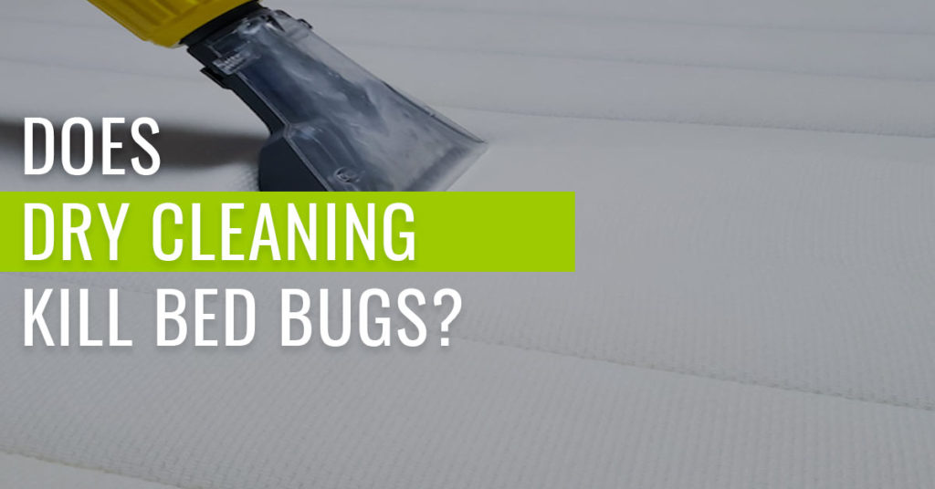 does-dry-cleaning-kill-bed-bugs