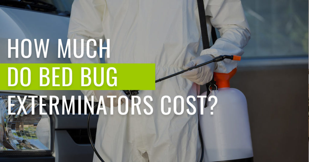 how-much-do-bed-bug-exterminators-cost