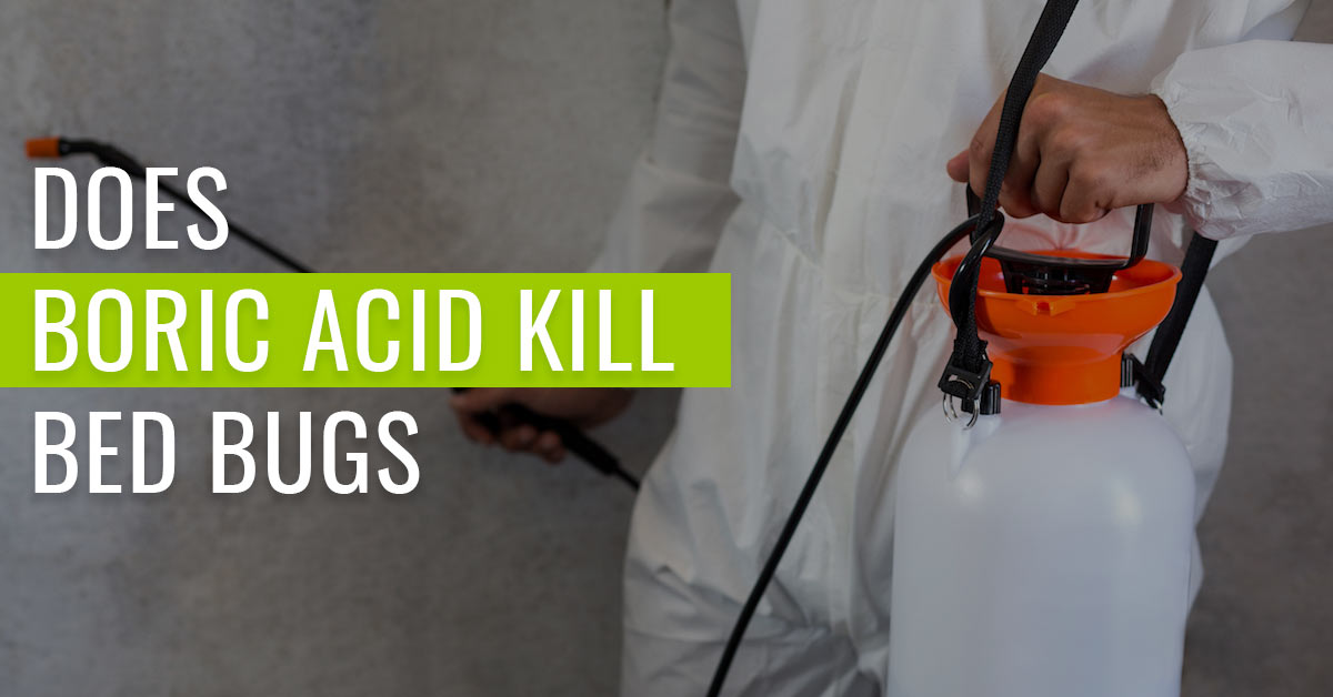 does-boric-acid-kill-bed-bugs