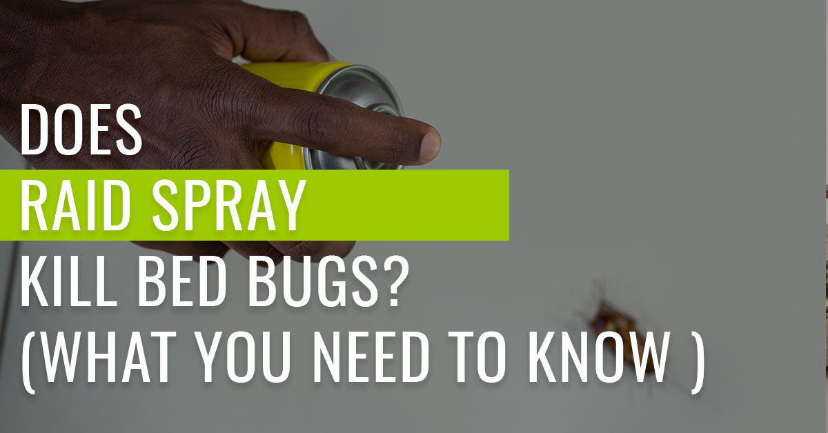 does-raid-spray-kill-bed-bugs