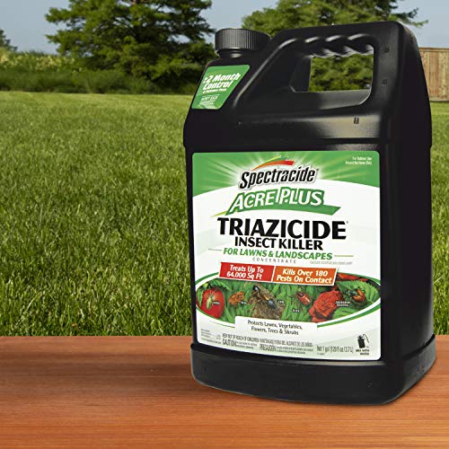 Spectracide 1-Gallon Acer Plus Triazicide Insect Killer for Lawns