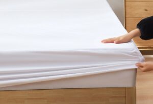 anit-bed-bug-mattress-cover