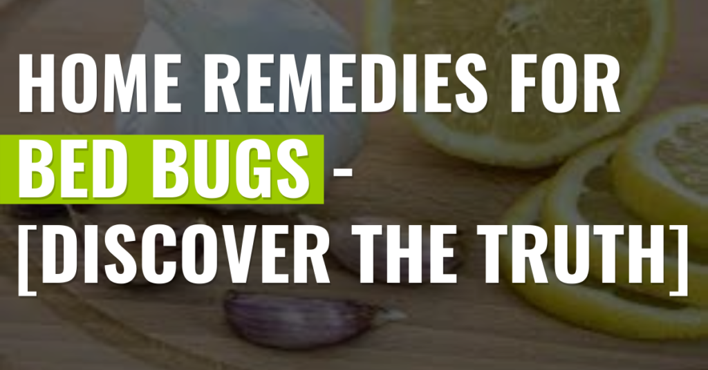 Home-Remedies-For-Bed-Bugs-[Discover-The-Truth]